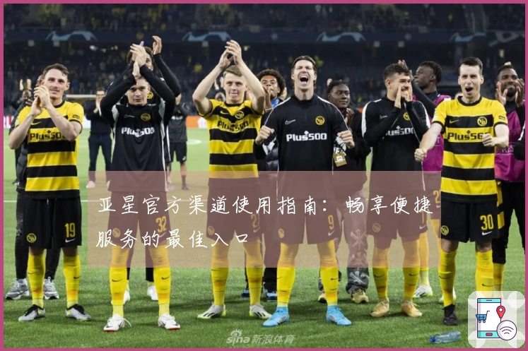 亚星官方渠道使用指南：畅享便捷服务的最佳入口