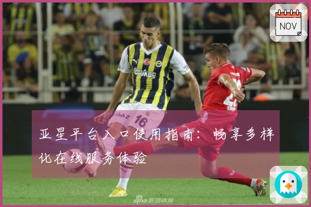 亚星平台入口使用指南：畅享多样化在线服务体验