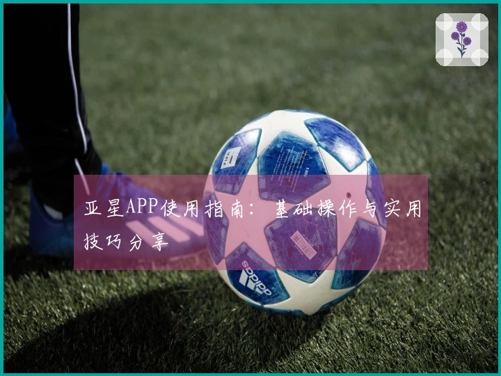 亚星APP使用指南：基础操作与实用技巧分享